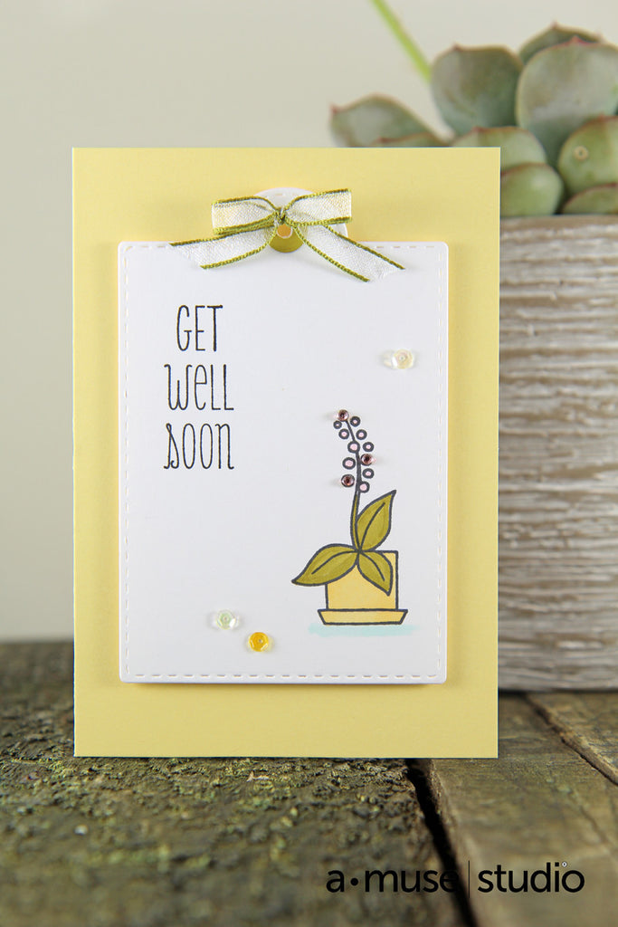 get well soon indoor plants house plants – amusestudio.com