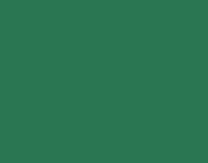 a|s pigment ink pad - evergreen