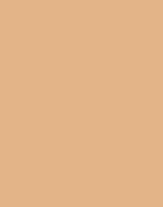 a|s cardstock - toffee
