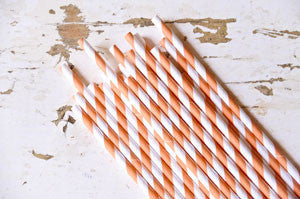 paper straws - orange