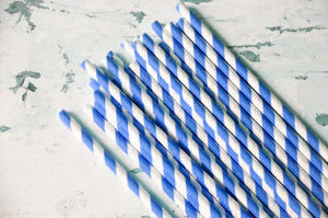 paper straws - navy