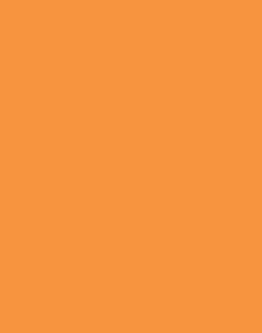 a|s cardstock - orange