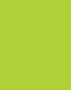 a|s cardstock - lime